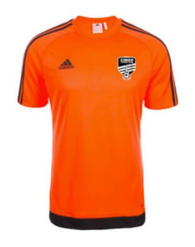 euro 2018 adidas kits