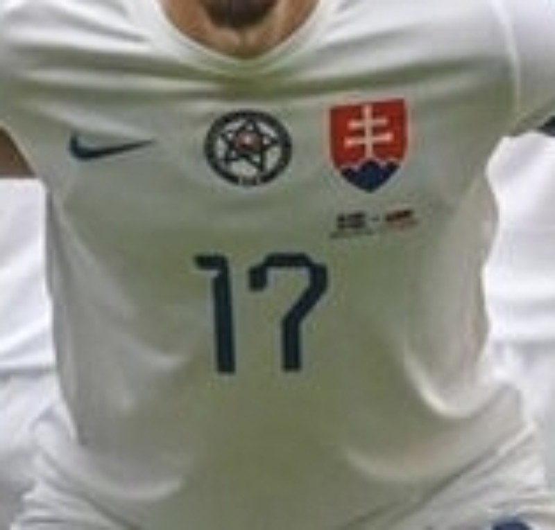 Slovakia 2022 Away 2 Kit