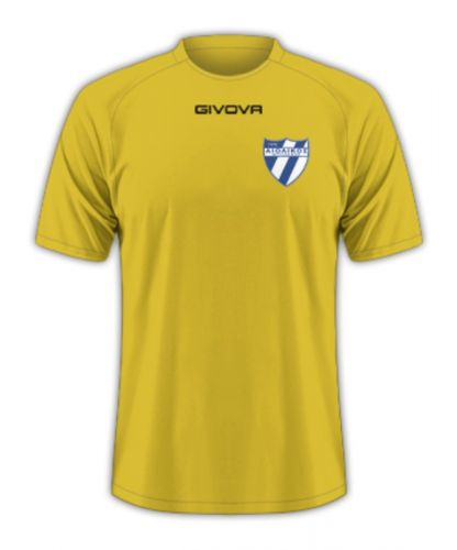 Aiolikos FC Kit History Football Kit Archive