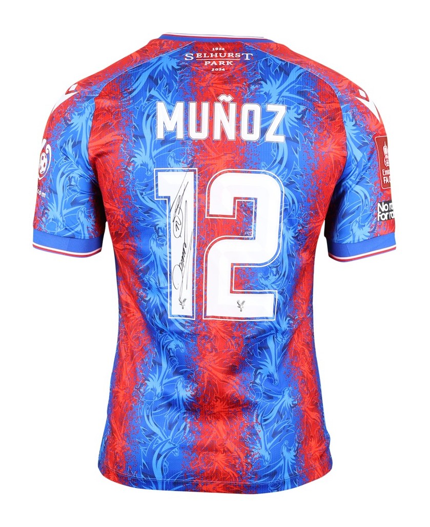 Crystal Palace 2024-25 FA 杯赛Final 球衣